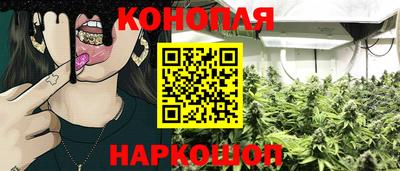 мет Моздок