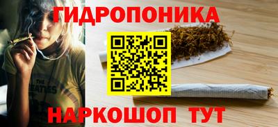 прущие крисы Можга