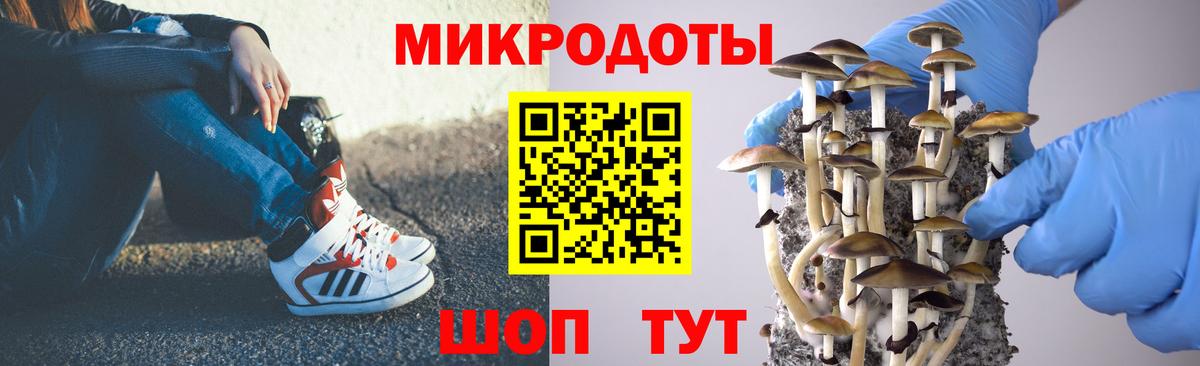 Псилоцибиновые грибы мицелий  Галлюциногенные грибы ЛСД  Холмск  Вход с VPN 